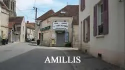epaviste à proximité de Amillis (77120)