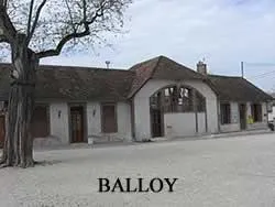 epaviste à proximité de Balloy (77118)