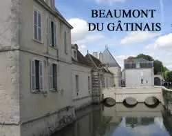 epaviste à proximité de Beaumont-du-Gâtinais (77890)