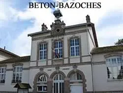 epaviste à proximité de Beton-Bazoches (77320)