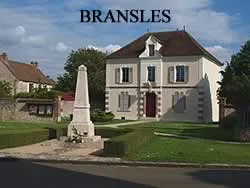 epaviste à proximité de Bransles (77620)