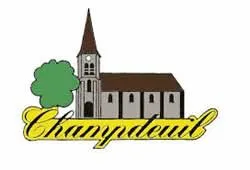 epaviste à proximité de Champdeuil (77390)