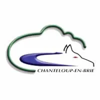 epaviste à proximité de Chanteloup-en-Brie (77600)
