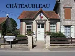 epaviste à proximité de Châteaubleau (77370)