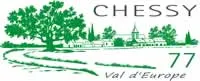 epaviste à proximité de Chessy (77700)