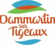 epaviste à proximité de Dammartin-sur-Tigeaux (77163)