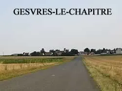 epaviste à proximité de Gesvres-le-Chapitre (77165)
