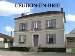 epaviste à proximité de Leudon-en-Brie (77320)