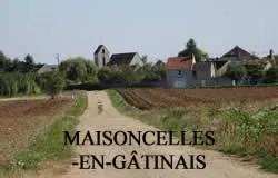 epaviste à proximité de Maisoncelles-en-Gâtinais (77570)