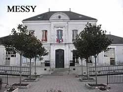 epaviste à proximité de Messy (77410)