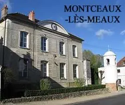 epaviste à proximité de Montceaux-lès-Meaux (77470)