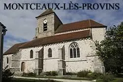 epaviste à proximité de Montceaux-lès-Provins (77151)