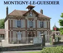 epaviste à proximité de Montigny-le-Guesdier (77480)