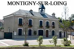 epaviste à proximité de Montigny-sur-Loing (77690)