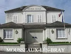 epaviste à proximité de Mousseaux-lès-Bray (77480)