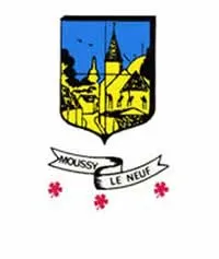 epaviste à proximité de Moussy-le-Neuf (77230)