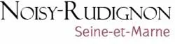 epaviste à proximité de Noisy-Rudignon (77940)