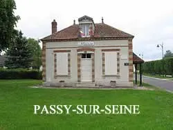 epaviste à proximité de Passy-sur-Seine (77480)