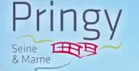 epaviste à proximité de Pringy (77310)