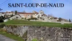 epaviste à proximité de Saint-Loup-de-Naud (77650)