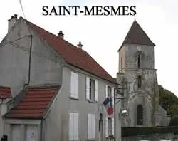 epaviste à proximité de Saint-Mesmes (77410)