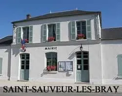 epaviste à proximité de Saint-Sauveur-lès-Bray (77480)