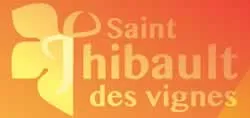 epaviste à proximité de Saint-Thibault-des-Vignes (77400)