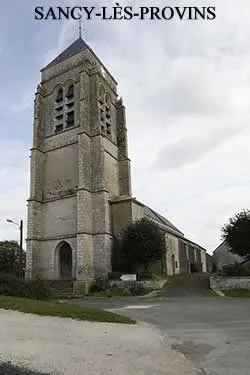 epaviste à proximité de Sancy-lès-Provins (77320)