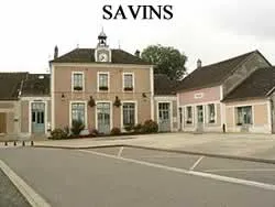 epaviste à proximité de Savins (77650)