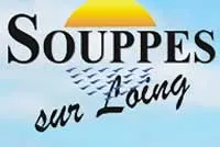 epaviste à proximité de Souppes-sur-Loing (77570)