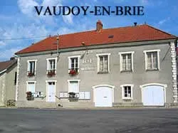 epaviste à proximité de Vaudoy-en-Brie (77141)
