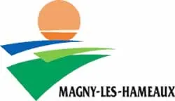 enlevement epave gratuit Magny-les-Hameaux (78114)