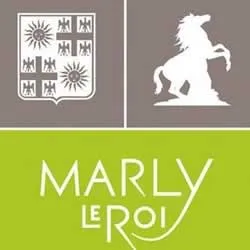 enlevement epave gratuit Marly-le-Roi (78160)
