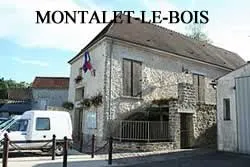 epaviste à proximité de Montalet-le-Bois (78440)