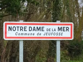 epaviste autours de Notre-Dame-de-la-Mer (78270)