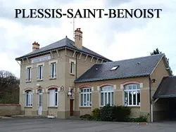 epaviste à proximité de Plessis-Saint-Benoist (91410)