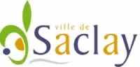 enlevement epave gratuit Saclay (91400)