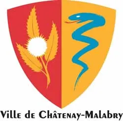 casse voiture Châtenay-Malabry (92290)