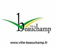 epaviste à proximité de Beauchamp (95250)