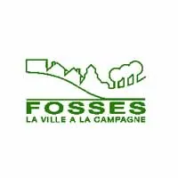 epaviste à proximité de Fosses (95017)