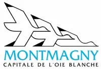 epaviste à proximité de Montmagny (95360)