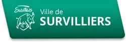 epaviste à proximité de Survilliers (95470)
